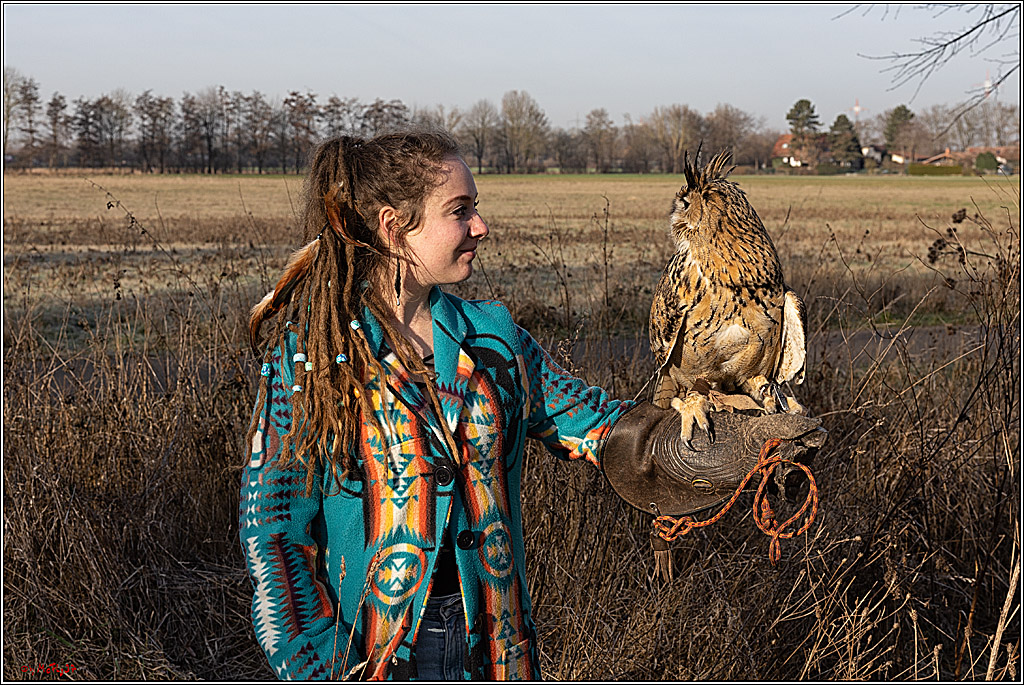 Cheyenne-Halbblut Hunting Wolf in der Falknerei Pierre Schmidt; Gymnich, 09.02.2023